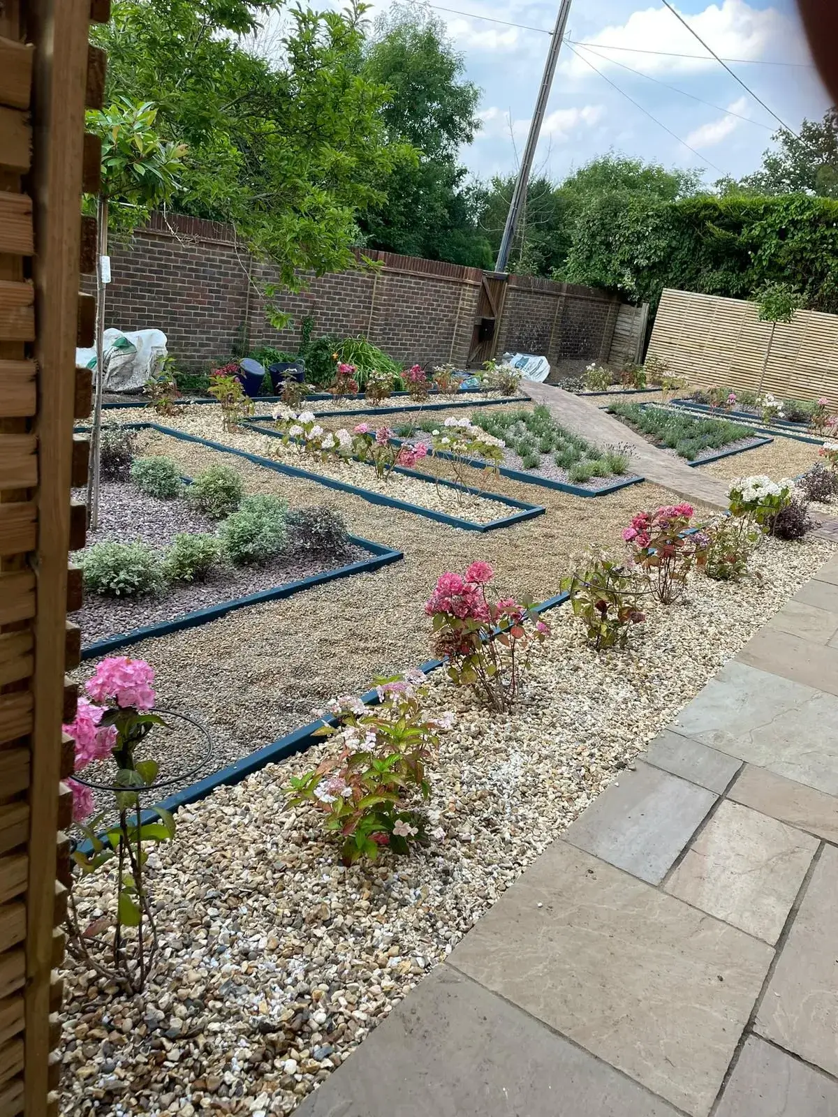 A garden with a lot of flowers in it.